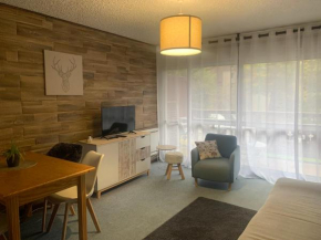 Studio de 32 m2 pour 3 personnes pied des pistes